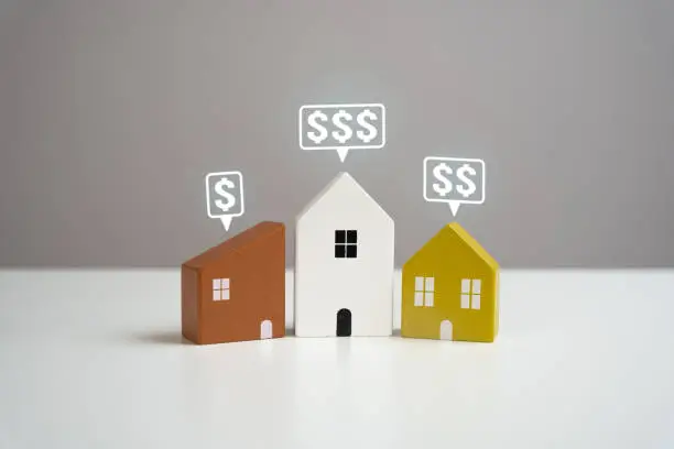 ALLIED ASIA GROUP LTD.